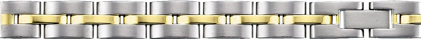 ALPINE Buckle Band 8mm Straight End (SOLID LINKS) 406