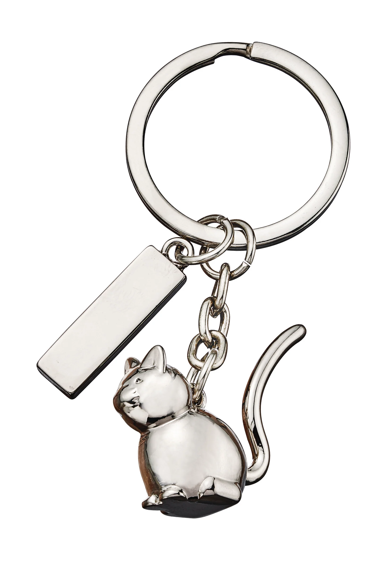 ALPINE Engravable Key Chain A415